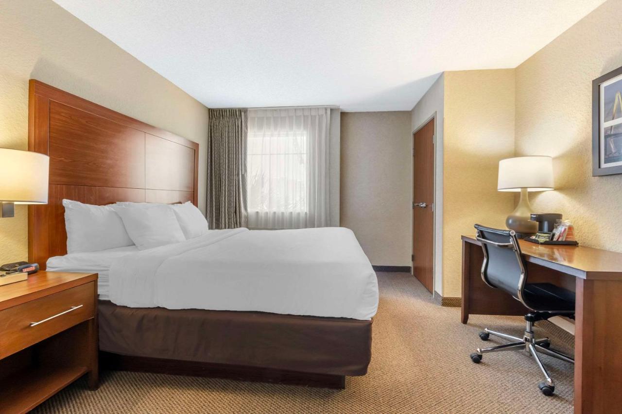 Comfort Inn & Suites Airport Convention Center North Charleston Exteriör bild